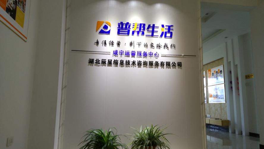 湖北辰星 数字化浪潮中的智慧导航者