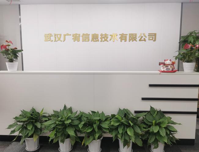 柳俊雄 专注信息技术咨询服务，赋能企业数字化转型
